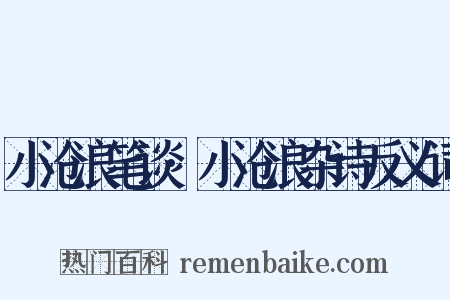 小沧浪笔谈·小沧浪杂诗反义词是什么意思的图片
